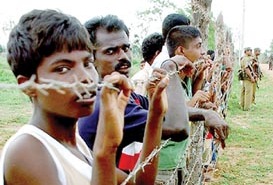   Menik Farm in Vavuniya 