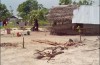 Resettlement meaningless without guarantee against structural genocide in East