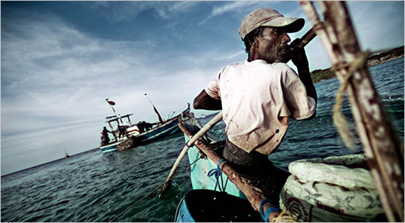 With the end of a civil war, the government has eased curbs on fishing in the waters off Trincomalee, Sri Lanka, which offer a bounty of fish and other seafood