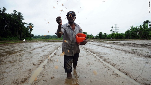 A Sri Lankan farmer scatters seeds as he sows a paddy field in a Colombo suburb in early May. cnn