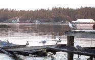 Two Canadian navy tugboats (back) guide MV Sun Sea, suspected of carrying 490 Tamil migrants, into dock in 2010