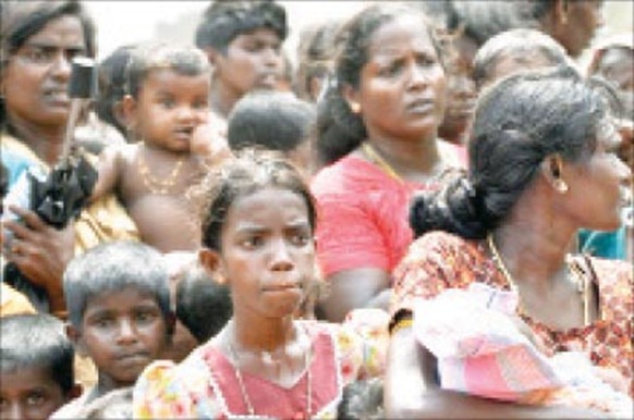 War widows learning to cope with day to day life again