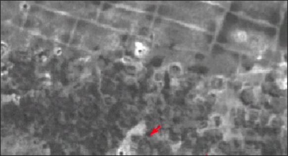 Sataellite images of shelling in the no fire zone