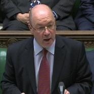 Foreign Office minister Alistair Burt said the Government was 'disappointed' by some recommendations in a report on the Sri Lankan civil war