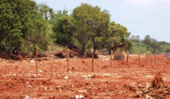 New areas demarcated for the High Security Zone. After more than two decades of SL military occupation, the once densely populated Tamil villages have now become a semi-forest region.