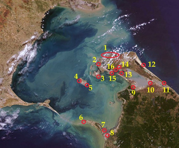 Sri Lanka's large military establishments that choke Jaffna peninsula and threaten Indian security. Sinhala colonisation is carried out in places no 11, 13, 14, and 16. The locations: 1. High Security Zone, Valikaamam North, 2. Kaarainakar naval base, 3. Vallan, Pungkudutheevu, 4. Periyathu'rai and Saamiththoadda-munai, Delft (Key location for Kachchatheevu and Rameswaram), 5. Kunthavadi, Delft, 6. Thalai-mannaar, 7. Mannaar Fort, 8. Tha'l'laadi, 9. Poonakari Fort, 10. Elephant Pass, 11. Vettilaikkea'ni, 12. Naakarkoayil, 13. Ariyaalai East and the opposite sandbar Ma'n'niththalai, 14. Naavatkuzhi, 15. Ma'ndaitheevu and 16. Jaffna city. The innumerable small military posts and the newly planned cantonments in Vanni are not shown in the map. [Satellite Image courtesy: NASA, Visible Earth. Legend by TamilNet]