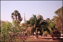 Buddhist Stupa at Thiruvadinilai