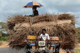 Sri Lankan Tamil farmers ride on a tractor in the former war zone district of Mullaittivu on October 21 (AFP/File, Ishara S.Kodikara)