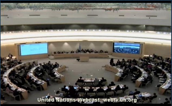 This March 21, 2013 screen grab from UN Web TV shows the U.N. Human Rights Council in session. 