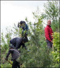 Canada_2013_May_tree_planting_01_103664_200