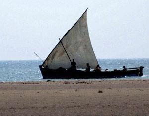 Sri Lankan navy on Sunday detained 33 fishermen from Rameswaram.